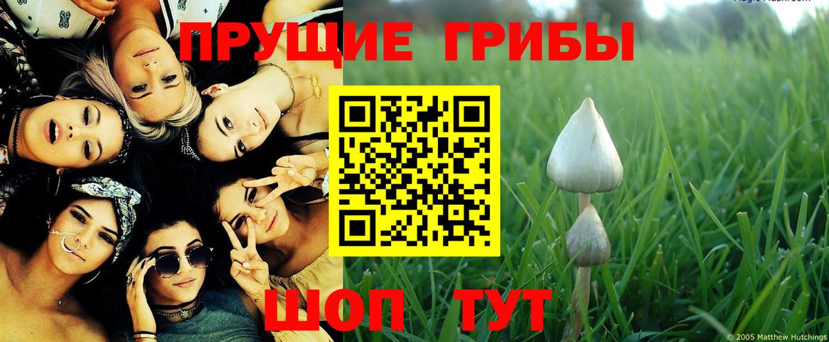 Красный Сулин  Псилоцибиновые грибы прущие грибы  Вход с VPN 