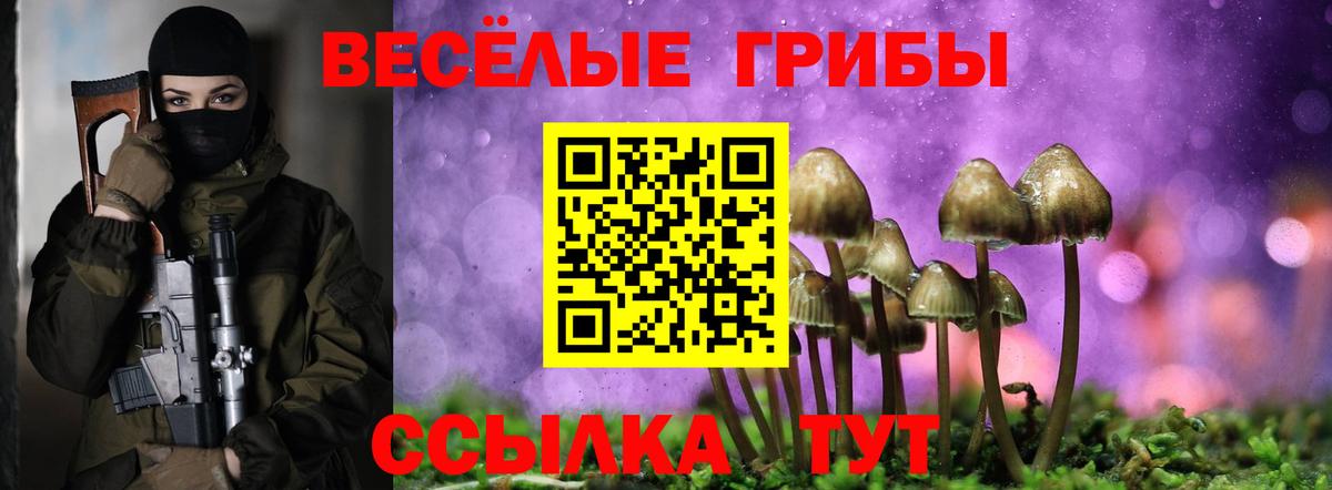 Псилоцибиновые грибы MAGIC MUSHROOMS Красный Сулин